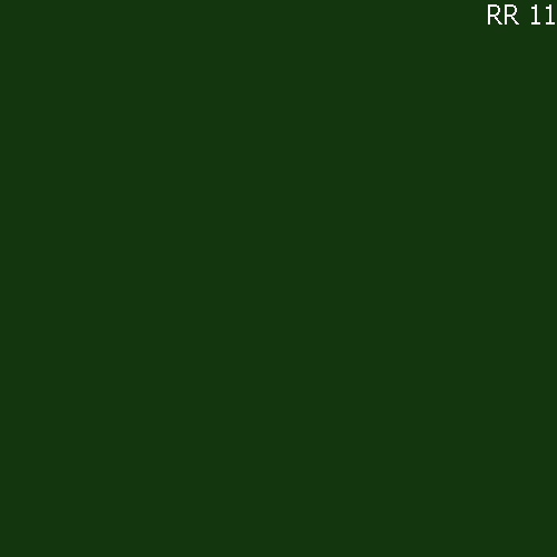 Алкидная спрей-эмаль TEKNOS 520 мл/400 гр, RR 11 (Темно-зеленый) - фото