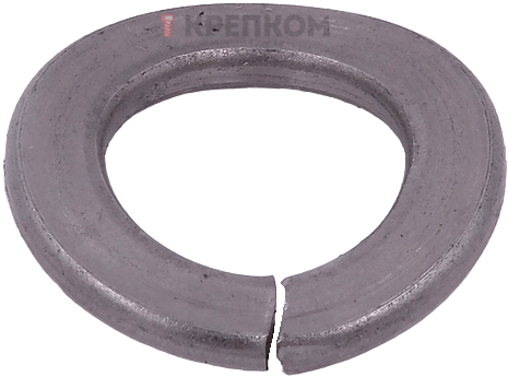 Шайба пружинная М6 DIN 128 форма А (изогнутая), нержавеющая сталь А4 - фото