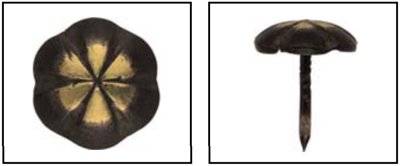 Декоративный гвоздь "Павлин", 13х13, железная латунь, Dransfeld - фото