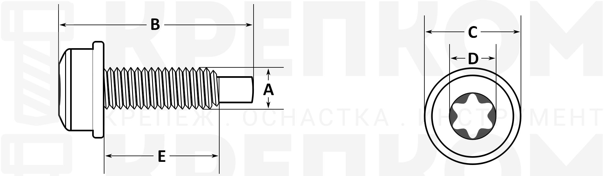 Болт (винт) М6х1х25 мм с полукруглой головкой с фланцем K2262 - схема, чертеж