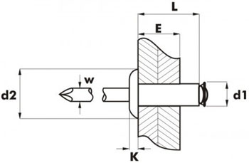 lepestok_schema.jpg lepestok_schema.jpg