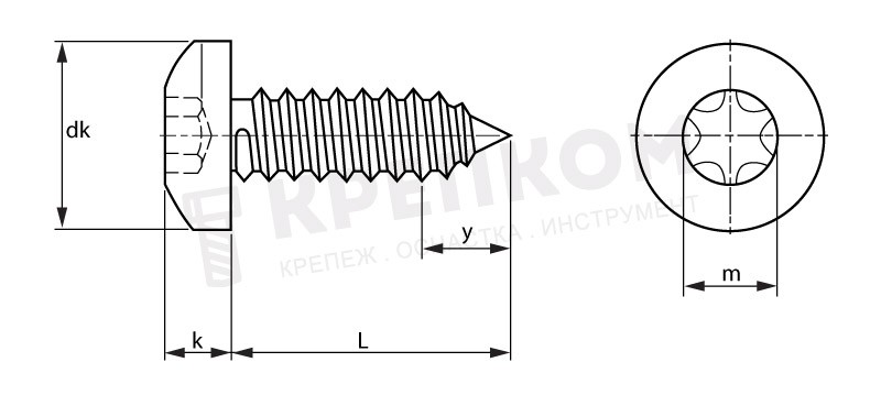 Саморез с полукруглой головкой и шлицем TORX ISO 14585 (DIN 7981) форма C - чертеж, схема