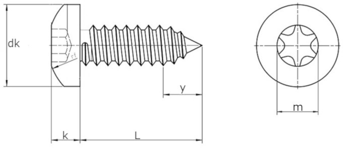 Саморез с полукруглой головкой и шлицем Torx ISO 14585 (DIN 7981) форма C-схема