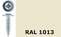 Саморез-клоп острый 4,2х16 окрашенный, RAL 1013 (жемчужно-белый)