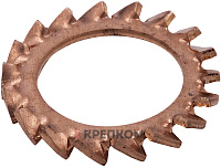 Шайба стопорная с зубьями DIN 6798A, бронза (Silicon bronze)