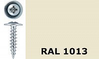 Саморез-клоп острый 4,2х25 окрашенный, RAL 1013 (жемчужно-белый)